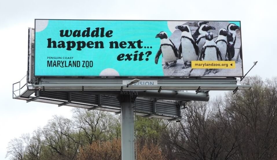 Billboard featuring African Penguins with text reading: 'waddle happen next... exit?'