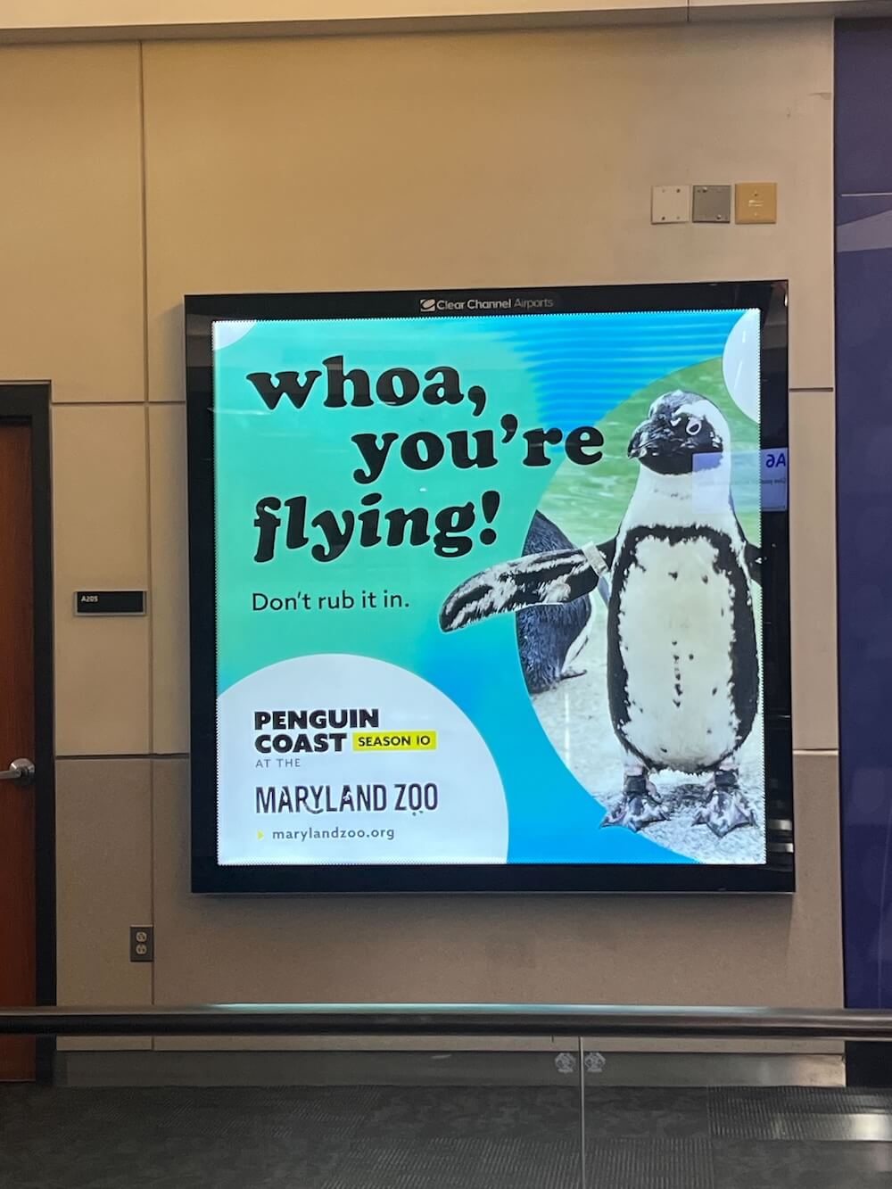 Airport poster with a penguin image and text reading: 'whoa, you're flying! Don't rub it in.'