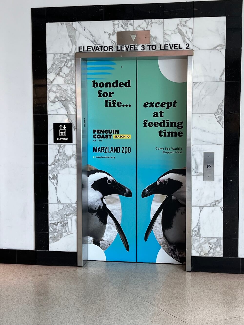 Vinyl-wrapped elevator doors with a penguin image on each door and text reading: 'bonded for life... except at feeding time'