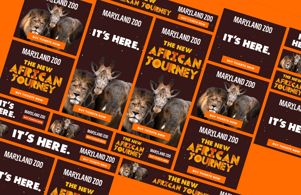 Introducing the New African Journey at Maryland Zoo