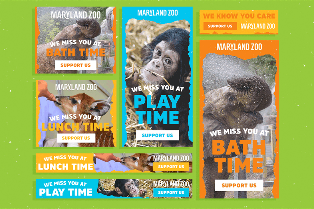 Maryland Zoo work examples
