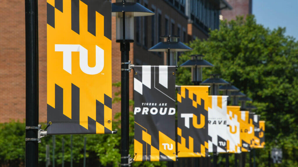 A series of TU banners on light poles.