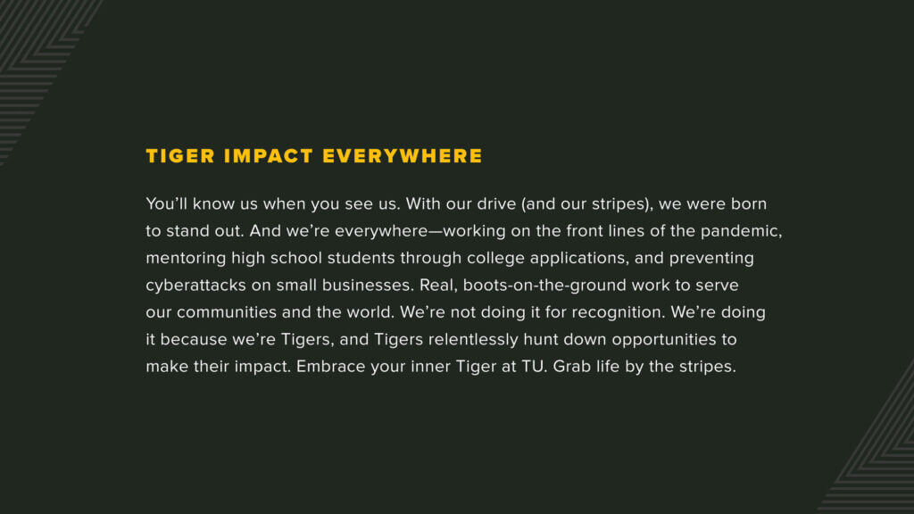 The "Grab Life By the Stripes" campaign manifesto.
