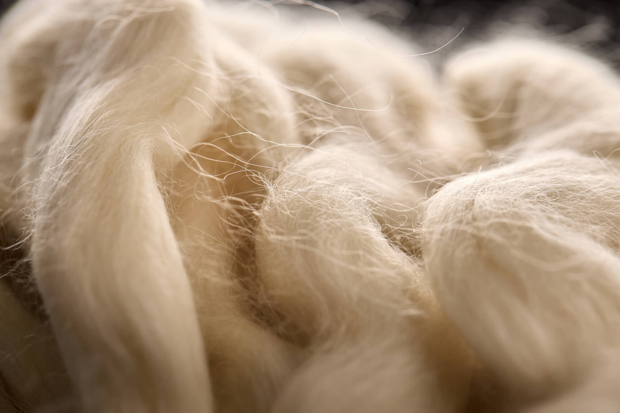 A non-woven sample from WT Burnett photographed stylistically